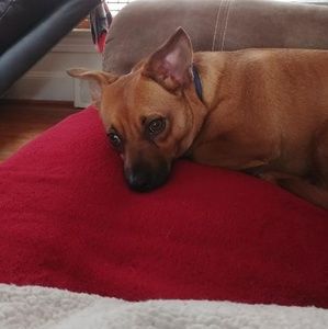 Meet your Posher, Pamela